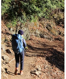 後ろ向き | その他