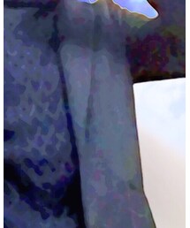 GU | チェスターコート