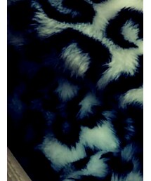 忘れた | ムートンコート