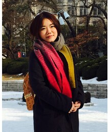 korea | マフラー