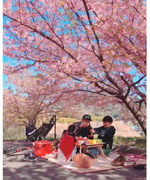お花見🌸 | その他