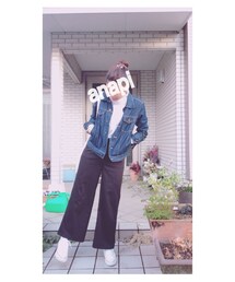 anapi | その他
