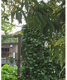 公園日和♡ | その他