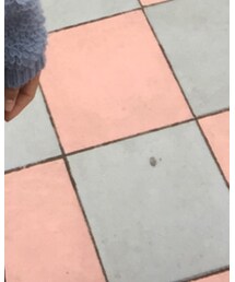 別ショット | ニットキャップ/ビーニー