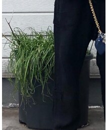 P.R.Patterson | その他パンツ