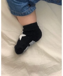 Birthday | ソックス/靴下