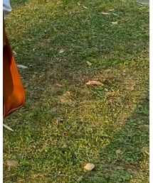 QUEEN SHOP | シャツ/ブラウス