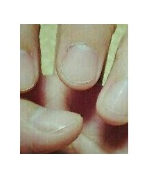 爪切り | ハンドケア/ハンドクリーム