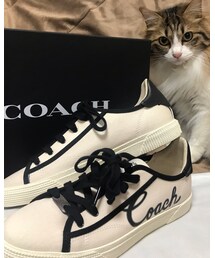 COACH | スニーカー