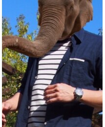 GU | Tシャツ/カットソー