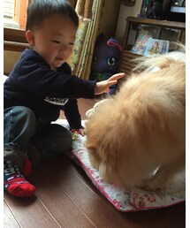 ワンワン | その他