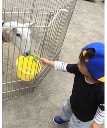 ふれあい | その他