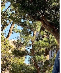 no brand | ストール/ショール