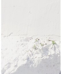 Bonpoint | ワンピース