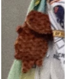 おうさんしょううお | パスケース