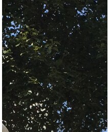 我们 | トップス