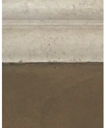 westlink | スニーカー