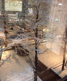 赤 | 赤プラ通り
(Tシャツ/カットソー)