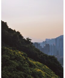 Hong kong ocean park | その他