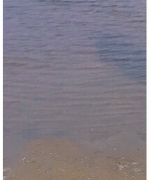 tutuanna | レッグウェア