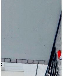 NO NAME | Tシャツ/カットソー