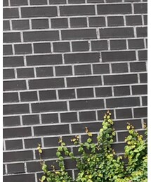 STUNNING LURE | ニット/セーター