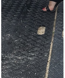 24 party | パンプス