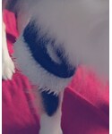 🐶の「ペットグッズ(ペットウェア)」