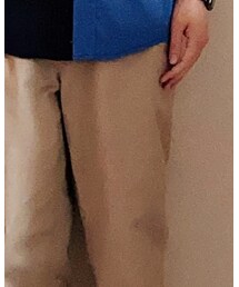 BROWNY VINTAGE | その他パンツ