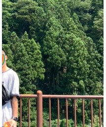 草タイプ | その他