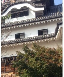 Inuyama Jo | その他