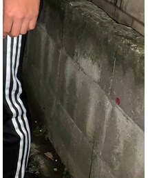 adidas | パンツ