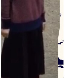 不明 | スカート