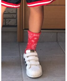 STANCE | ソックス/靴下