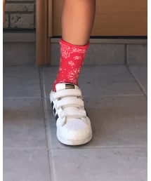 adidas super star | スニーカー