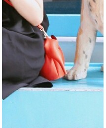 LOEWE | ショルダーバッグ