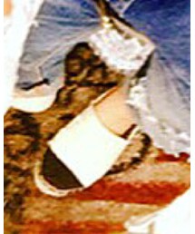 通販 | その他シューズ