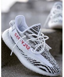 adidas | スニーカー