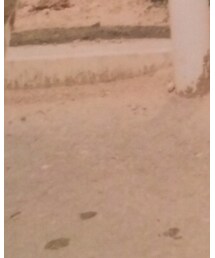 幼少期 | その他