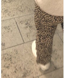 CONVERSE | スニーカー