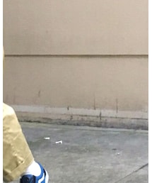 my beautiful landlet | サロペット/オーバーオール