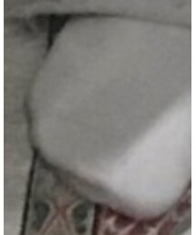 Reebok | レッグウェア