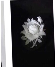 古着 | ブローチ/コサージュ