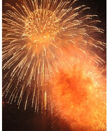 花火 | 音楽/本・雑誌