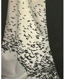 HUGO BOSS | Tシャツ/カットソー