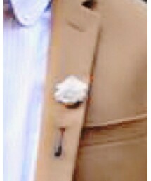 Satyagraha | ブローチ/コサージュ