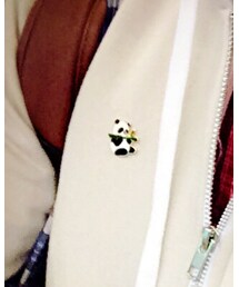 Satyagraha | ブローチ/コサージュ