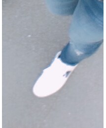 LACOSTE | スニーカー