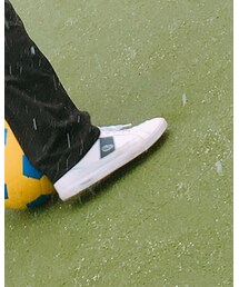 LACOSTE | スニーカー