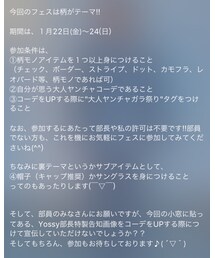 大人ヤンチャガラ祭り詳細 | その他